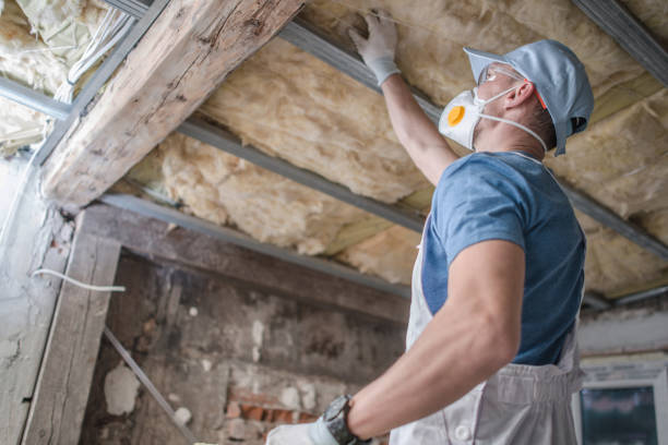 Best Professional Insulation Contractor  in Pleasantville, NY