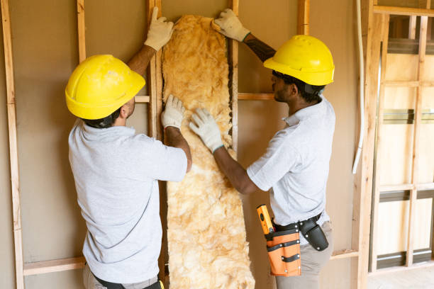 Best Insulation for New Construction  in Pleasantville, NY